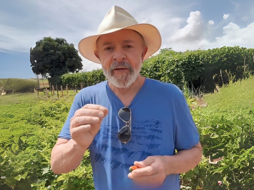 Presidente Lula grava vídeo na horta da Granja do Torto, e comenta sobre aumento dos preços dos alimentos